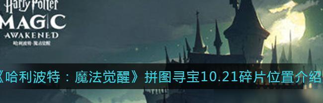 《哈利波特魔法觉醒》水下拼图攻略全解析（探究水下拼图位置）