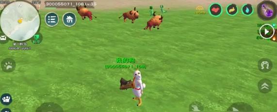 《创造与魔法》宠物狗食谱攻略（以游戏为主）