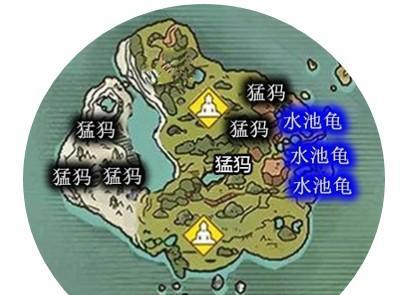 乌龟坐骑驯服方法详解，让你轻松上阵（乌龟坐骑驯服方法详解）
