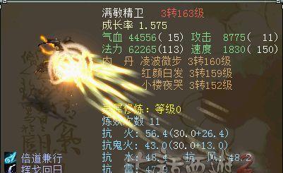大话西游坐骑葫芦攻略（探秘葫芦坐骑）