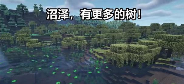探秘荒野丛林沼泽（从零开始的求生之旅）