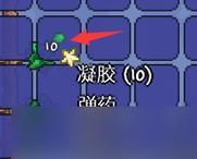 快速获取骨头，轻松解锁新玩法（快速获取骨头）