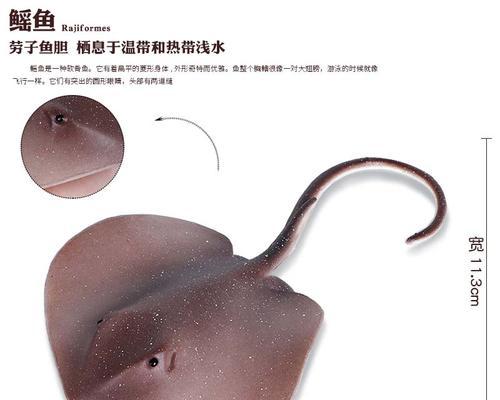 探秘明日之后（以游戏为主的明日之后烤魔鬼鱼新手指南）