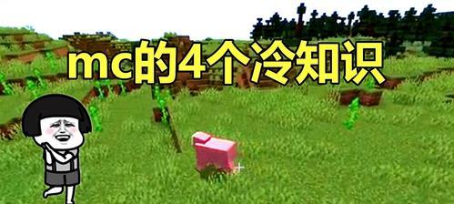 《我的世界》游戏中阻挡怪物利器门板的合成公式（打造最强防御）