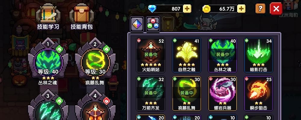 选择适合我的勇者游侠武器——解密游戏中的武器选择之道（从属性至外观）