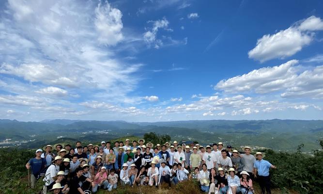 《以食物语登高游春10层，通关攻略，阵容搭配与技巧》