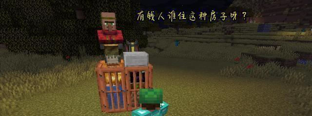 用南瓜制作独一无二的灯光装饰（用南瓜制作独一无二的灯光装饰）