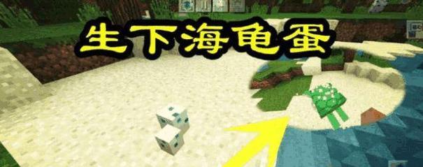 《我的世界》中海龟的饮食全攻略（探究海龟的口味喜好和食物来源）