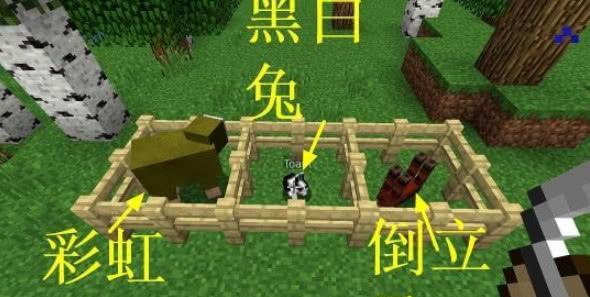 《我的世界》彩虹羊获取攻略（掌握这些技巧）