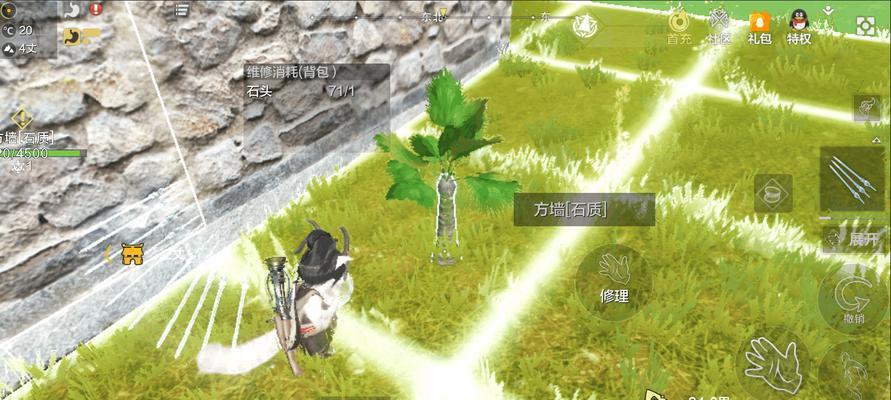 如何打造梦幻山海家园（以妄想山海为例）