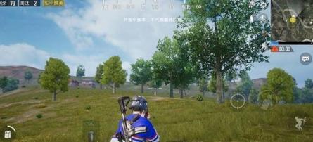和平精英团竞攻略（占点技巧详解）