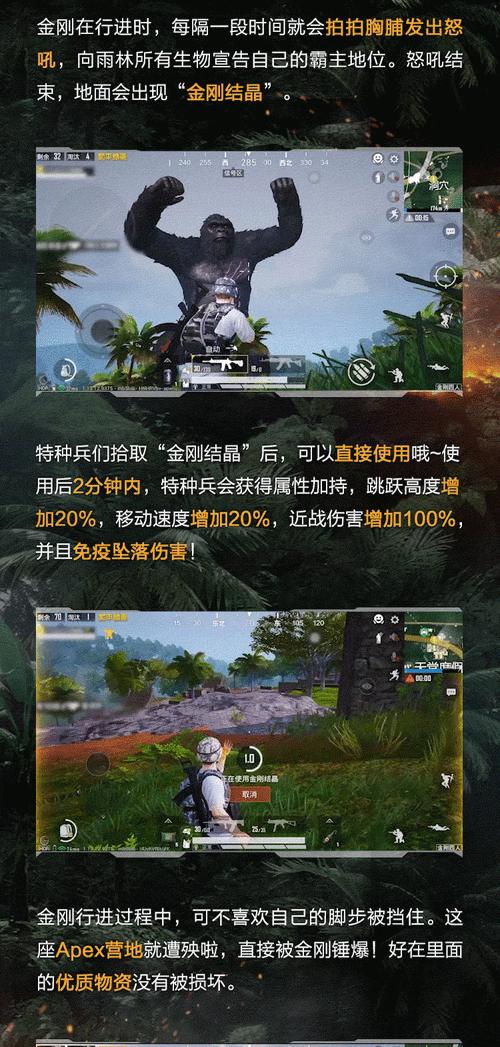 《和平精英》游戏模式详解（探秘战场、畅玩竞技、体验极限）
