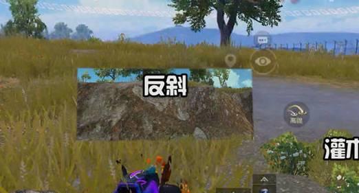 揭秘和平精英王牌投掷技巧（打造无敌投掷神器）