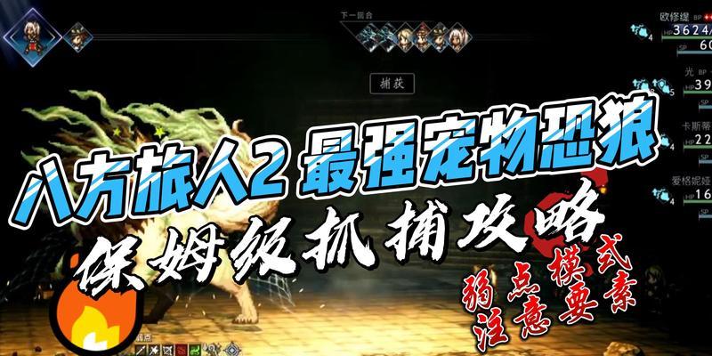 八方旅人第一章阵容搭配最强职业组合是什么？如何搭配出最佳组合？
