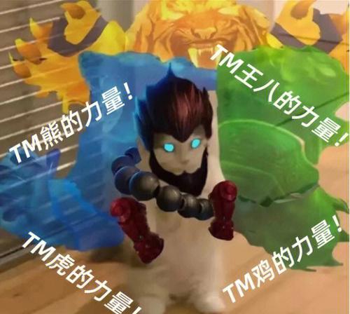 英雄联盟中TM指的是谁？如何玩好TM这个英雄？