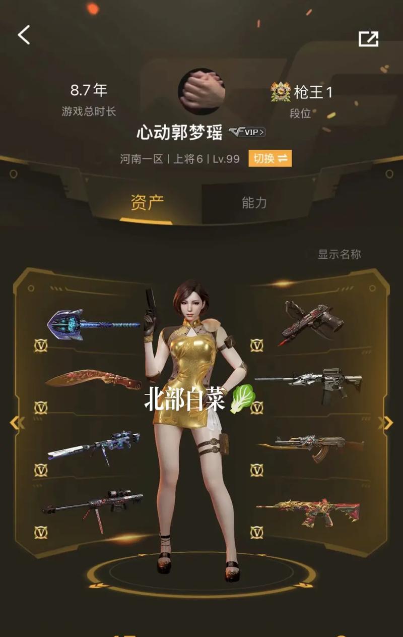 CF中葵角色需要多少CF点购买？购买葵角色的详细信息？