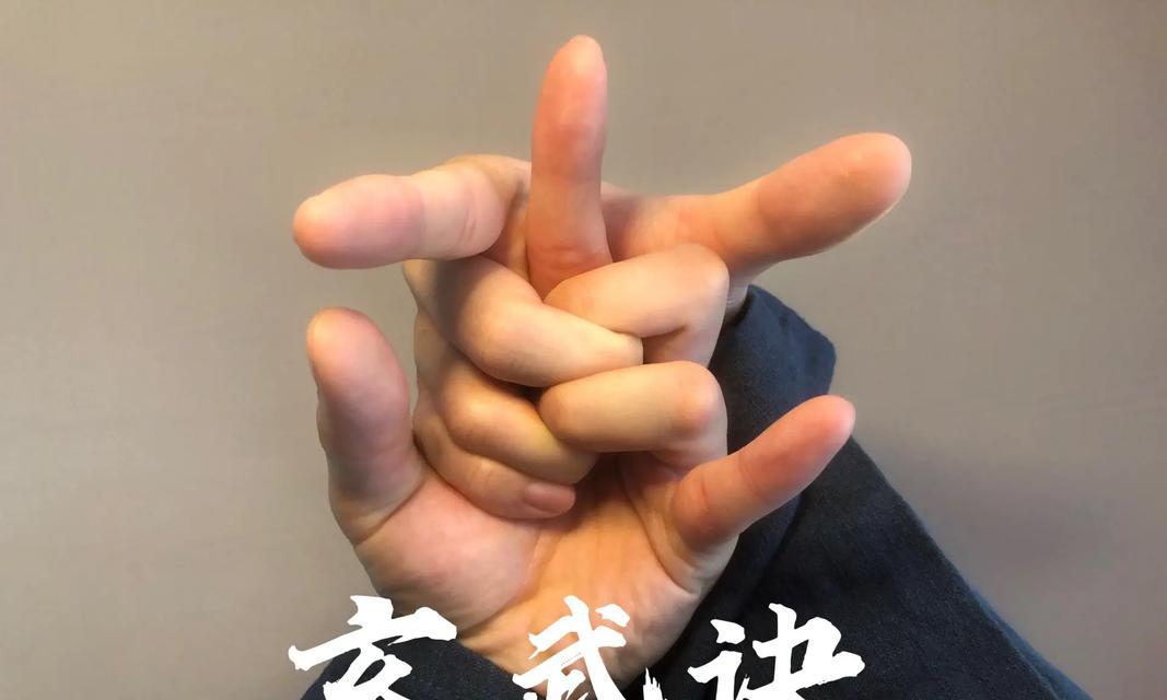 阴阳师中手势的制作方法是什么？手势的作用有哪些？