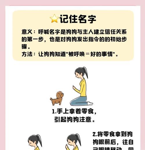 驯服世界之狗的正确方法是什么？