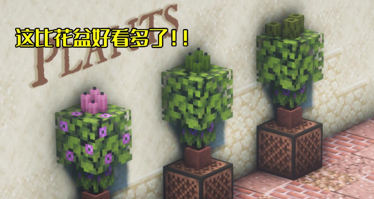 我的世界植物放置方法是什么？