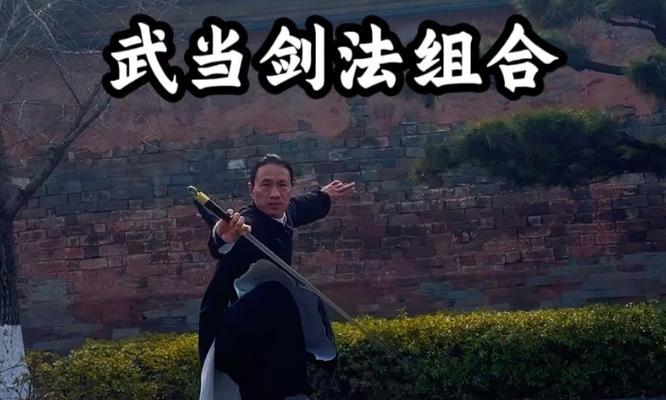 问道中武当道士的战斗技巧是什么？